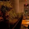 sustain-american-restaurant-bar-sustainmiami-com-airplants-9107-sm